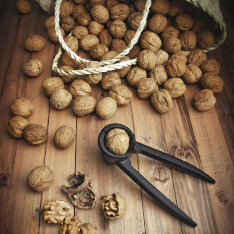 گردو شکن آلومینیوم نوین