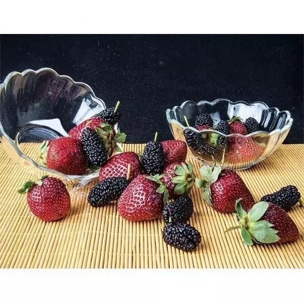 پیاله ماست خوری طرح مارال